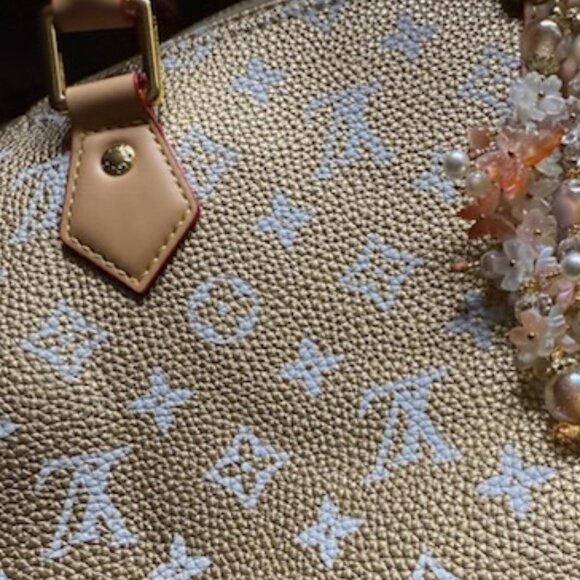 STUNNING Crossbody Satchel with POUCH - Picture 8 of 8